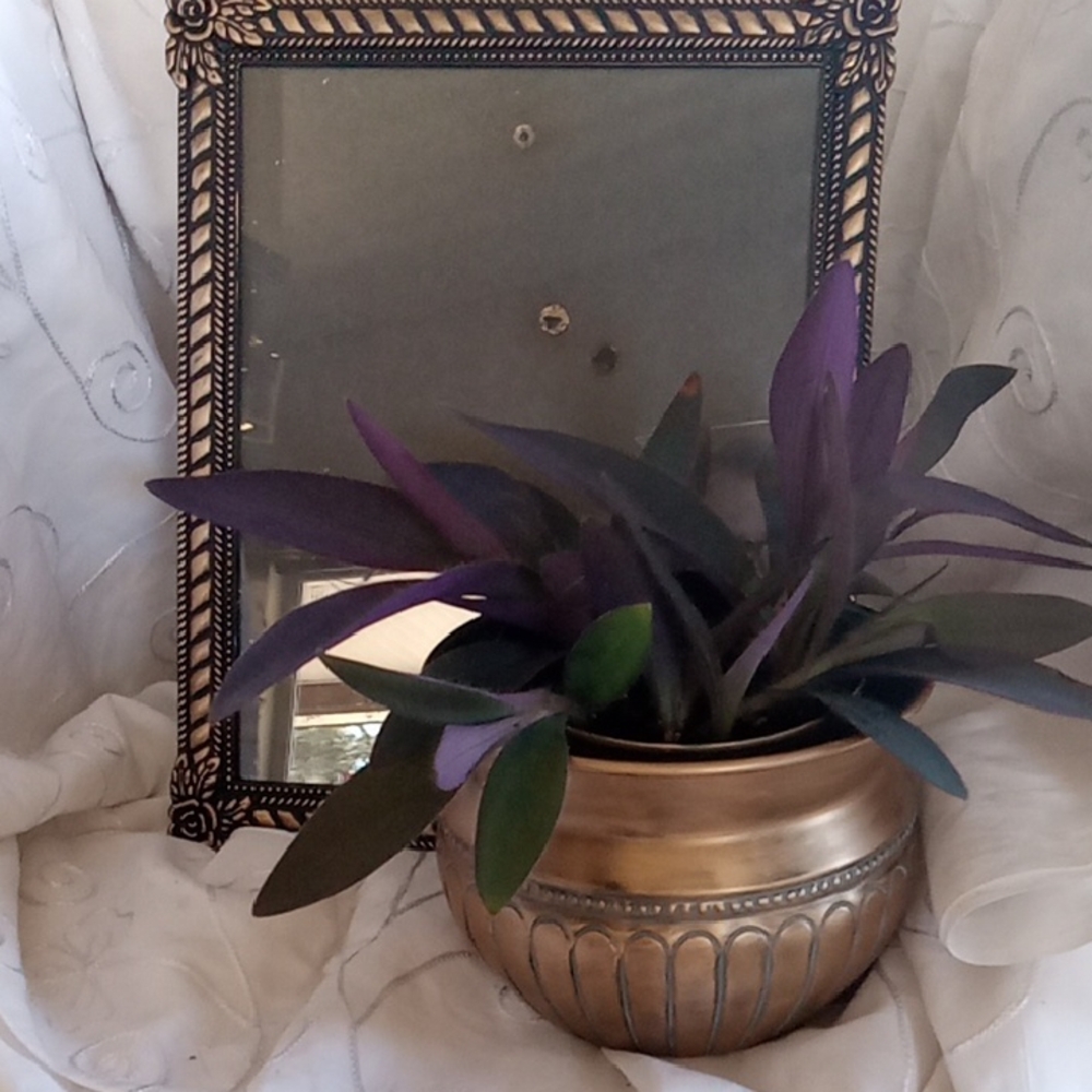 Very Pretty Frame And Matching Planter